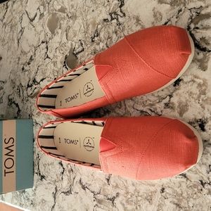 Brand New Toms Alpargata